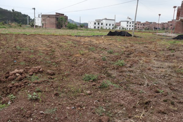 美港通配资 直击广西旱情：久旱终于迎来降雨，多方合力抗灾救灾
