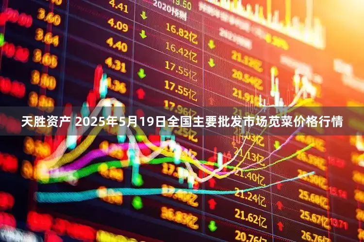 天胜资产 2025年5月19日全国主要批发市场苋菜价格行情