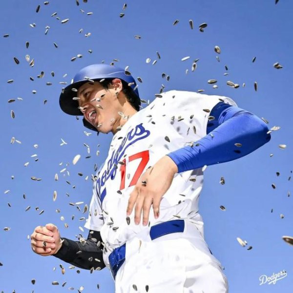 贵海国际 年轻人不愿意生孩子？日本从职业棒球“入手”