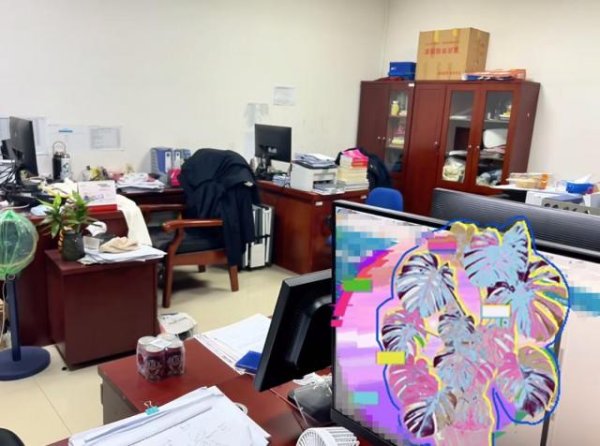 捷希缘 学历贬值，大一新生涌入实习岗