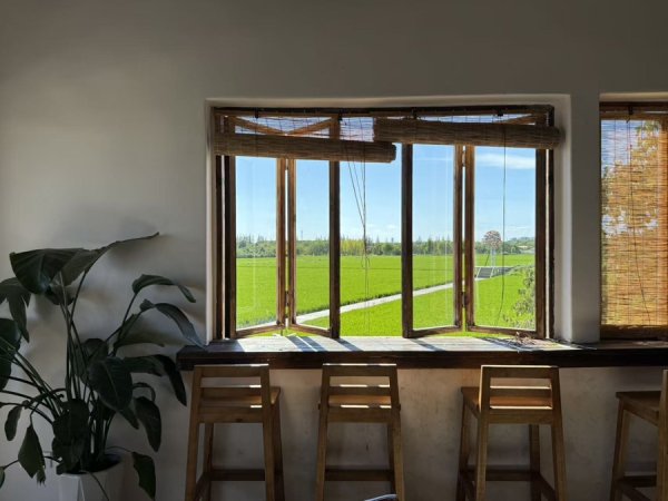 融金牛 上海“村咖”，活得还好吗？松弛感背后，需要精打细算生意经